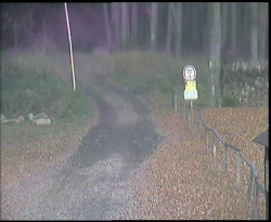 Nástup na běžecké tratě