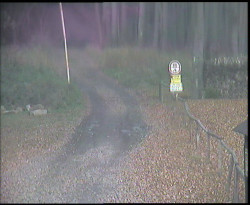 Nástup na běžecké tratě