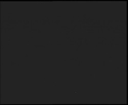 Nástup na běžecké tratě