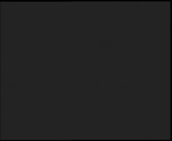 Nástup na běžecké tratě