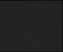 Nástup na běžecké tratě