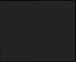 Nástup na běžecké tratě