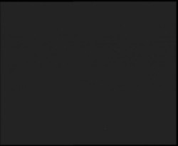 Nástup na běžecké tratě