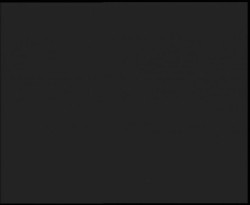 Nástup na běžecké tratě