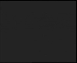 Nástup na běžecké tratě