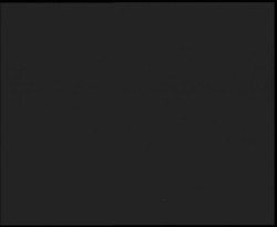 Nástup na běžecké tratě