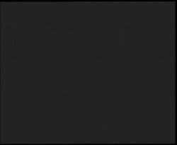 Nástup na běžecké tratě