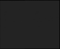 Nástup na běžecké tratě