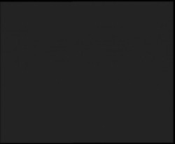 Nástup na běžecké tratě