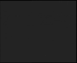 Nástup na běžecké tratě