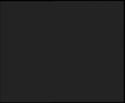 Nástup na běžecké tratě