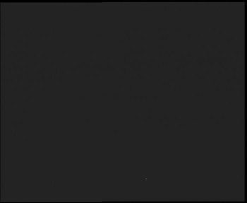 Snímek 14.11.2025 v 04:00