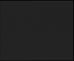 Nástup na běžecké tratě