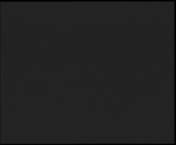 Nástup na běžecké tratě