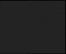 Nástup na běžecké tratě