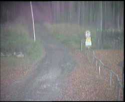 Nástup na běžecké tratě