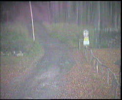 Nástup na běžecké tratě