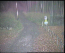 Nástup na běžecké tratě