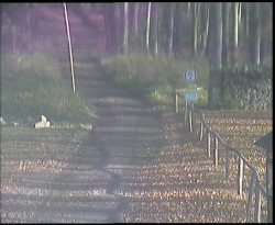 Nástup na běžecké tratě