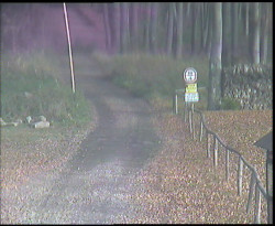 Nástup na běžecké tratě