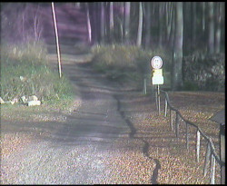 Nástup na běžecké tratě