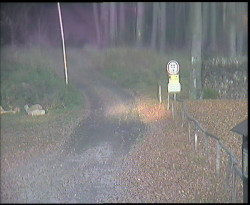 Nástup na běžecké tratě