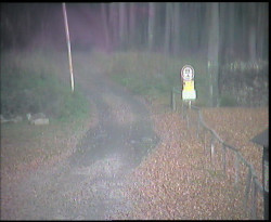 Nástup na běžecké tratě