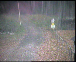 Nástup na běžecké tratě