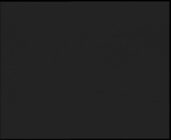 Nástup na běžecké tratě