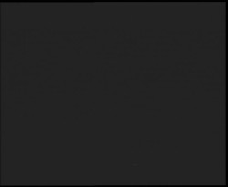 Nástup na běžecké tratě