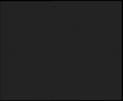 Nástup na běžecké tratě