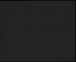 Nástup na běžecké tratě