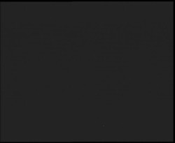 Nástup na běžecké tratě