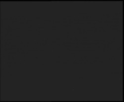 Nástup na běžecké tratě