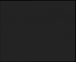 Nástup na běžecké tratě