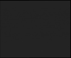 Nástup na běžecké tratě