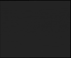 Nástup na běžecké tratě