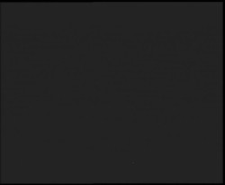 Nástup na běžecké tratě