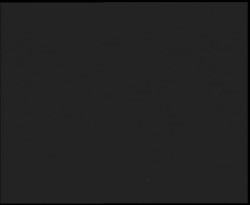 Nástup na běžecké tratě