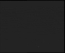 Nástup na běžecké tratě