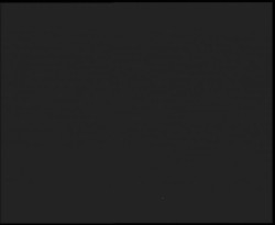 Nástup na běžecké tratě