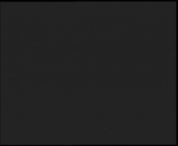 Nástup na běžecké tratě