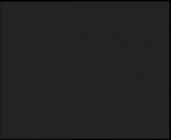 Nástup na běžecké tratě