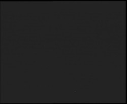 Nástup na běžecké tratě