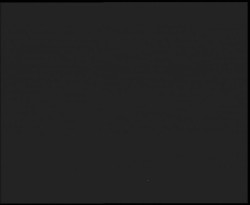 Nástup na běžecké tratě