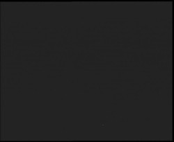 Nástup na běžecké tratě