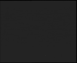 Nástup na běžecké tratě