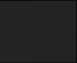 Nástup na běžecké tratě