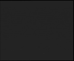 Nástup na běžecké tratě