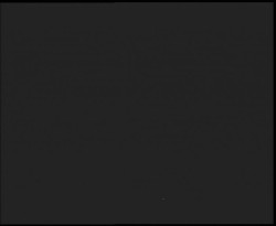 Nástup na běžecké tratě